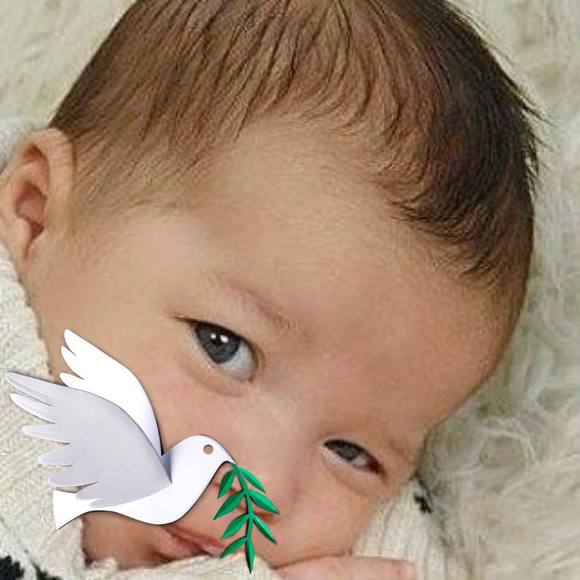 Meet your Posher, Guillermo - Picture 1 of 1